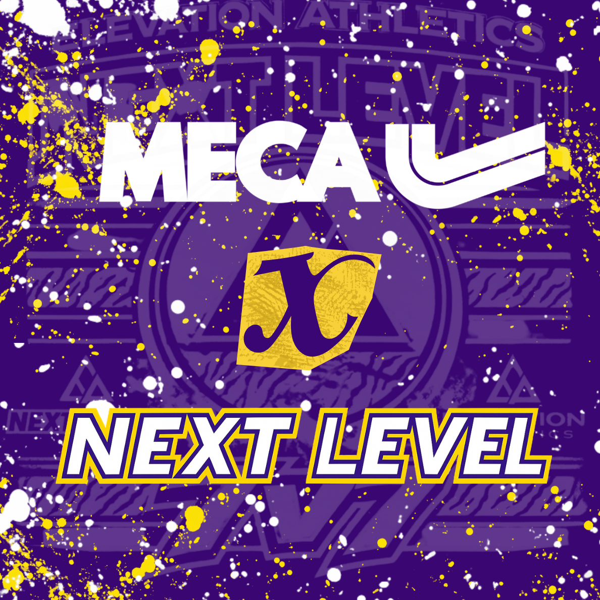 Next Level x Meca — MECA